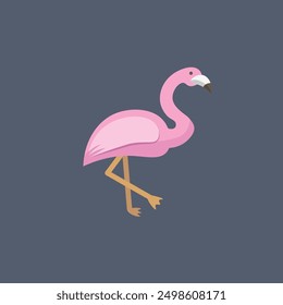 flamingo bird in vector design.