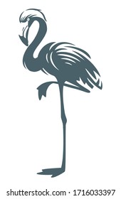 Flamingo bird - vector illustration.