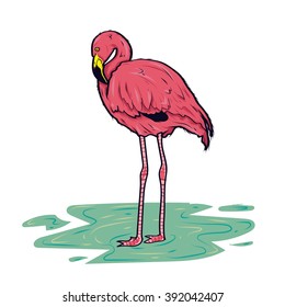 Flamingo Bird vector illustration