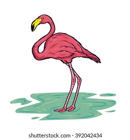 Flamingo Bird vector illustration