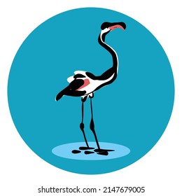 Flamingo bird vector illustration isolated 