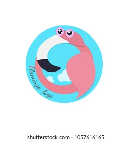Flamingo bird. vector illustration on white background. cartoon