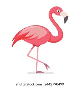 Ilustración vectorial de pájaro flamenco sobre fondo blanco.