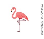 Flamingo bird vector pink cute illustration animal emoji