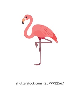 Flamingo bird vector pink cute illustration animal emoji