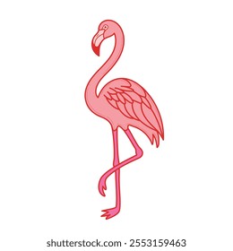 Flamingo Vogel Vektor, rosa Flamingo Vektorgrafik, Fauna Tier rosa Flamingo Vogel Cartoon Vektorgrafik Illustration.