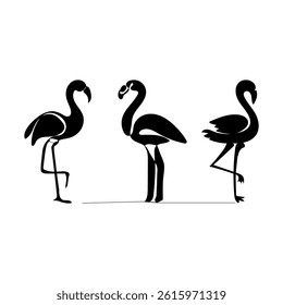 flamingo bird vector set .Flamingo bird Vector Images. Flamingo silhouette set vector design, flamingo  Vector Art, Icons, and Graphics illustration