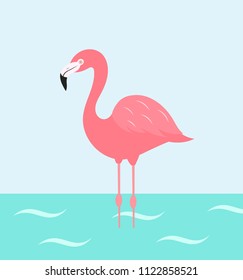 The flamingo bird wading in the water illustration