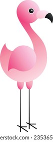 Flamingo, Bird, Water bird, Animal, Pink, Beautiful, cute, avian, flying