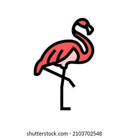 flamingo bird in zoo color icon vector. flamingo bird in zoo sign. isolated symbol illustration