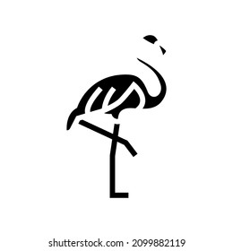 flamingo bird in zoo glyph icon vector. flamingo bird in zoo sign. isolated contour symbol black illustration