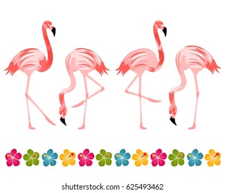 Flamingo Birds With Hibiscus Border