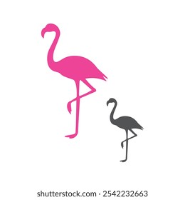 Flamingo Birds Illustrations Vector Art.