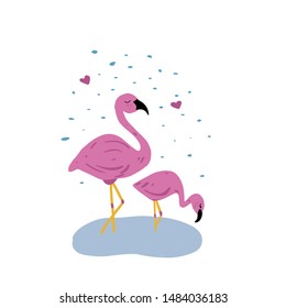 flamingo birds with kid little firds