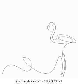 Flamingo birds line drawing on white background, vector illustration