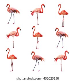 Flamingo birds pattern Vector