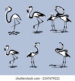 Flamingo Birds Poses vector illustration isolated