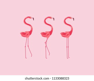 Flamingo birds set.
