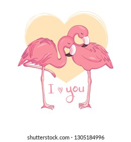 Flamingo birds vectorial illustration, design on white background