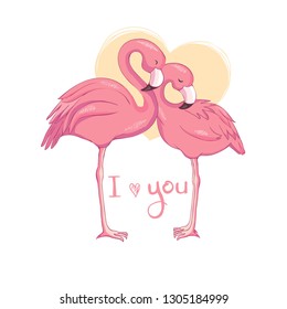 Flamingo birds vectorial illustration, design on white background