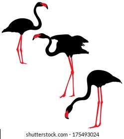 Flamingo  black and red vector Silhouettes