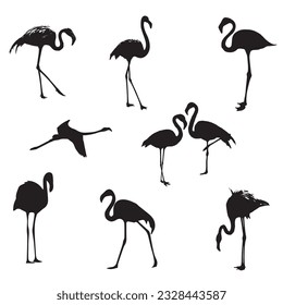 La silueta negra de Flamingo está sobre fondo blanco. Ilustración vectorial.