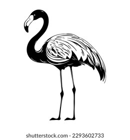 Flamingo, black silhouette - tropical symbol. Vector illustration on white isolated background. Good for cosmetics, packaging, posters, and social media.