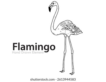 Flamingo black and white vector hand drawn, simple design, Coloring page, Cute cat, easy to edit, Line Art