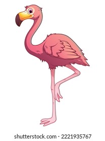 Flamingo Cartoon Animal Illustration Color