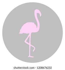Flamingo. Cartoon bird. Image for polygraphy, t-shirts and textiles. Web icon