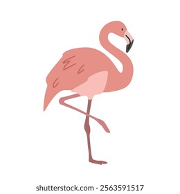 Flamingo cartoon clipart. Pink flamingo vector illustration in flat style. Hand-drawn wild animal concept