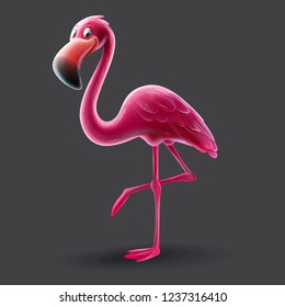 flamingo cartoon illustration