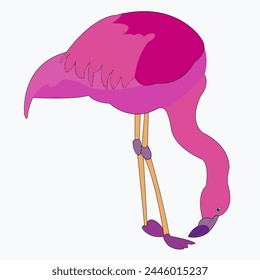 Flamingo cartoon isolated on white background. Vector illustration. The pink bird tilted its head down.