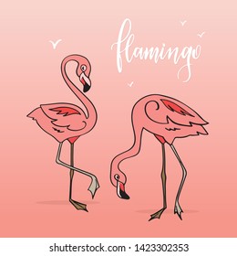 Flamingo in cartoon style. Hand drawn illustration.  