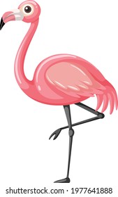 Flamingo in cartoon style isolated on white background illustration