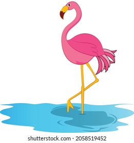 Flamingo cartoon vector art and illustration