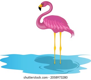 Flamingo cartoon vector art and illustration