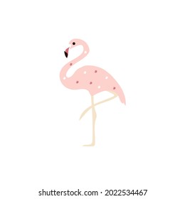 Flamingo cartoon vector illustration , flamingo cute baby illustration on white background