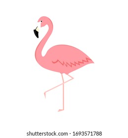 Flamingo cartoon vector illustration isolated on white