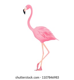 flamingo cartoon vector on white background