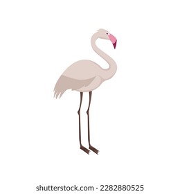 Flamingo cartoon vector on a white background