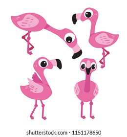 flamingo character collection design