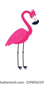 Flamingo character Long legs bird. Vector illustration