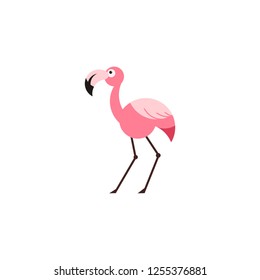 Flamingo clip art vector pink