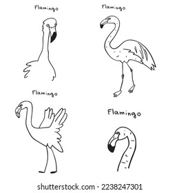 Flamingo. Collection of birds. Outline vector illustrations.  