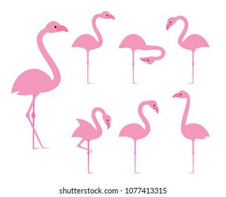 Flamingo collection. Flat design. 