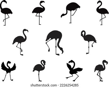 Colecciones Flamingo vector aislado Silhouette 