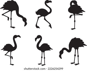 Flamingo Collections isolated vector Silhouette 