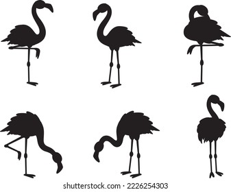 Flamingo-Sammlungen einzeln auf Vektorgrafik Silhouette 