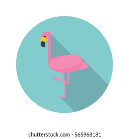 Flamingo color flat icon